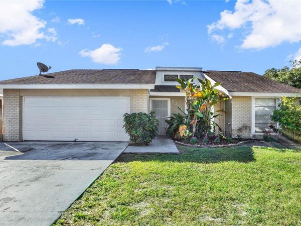 8201 DOWNFIELD LANE, TAMPA, FL 33615