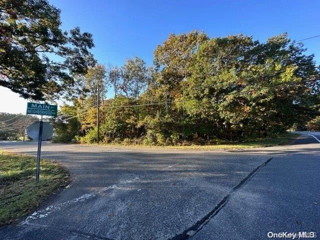 Vl Neighborhood Road, Mastic, NY 11950 Main Photo