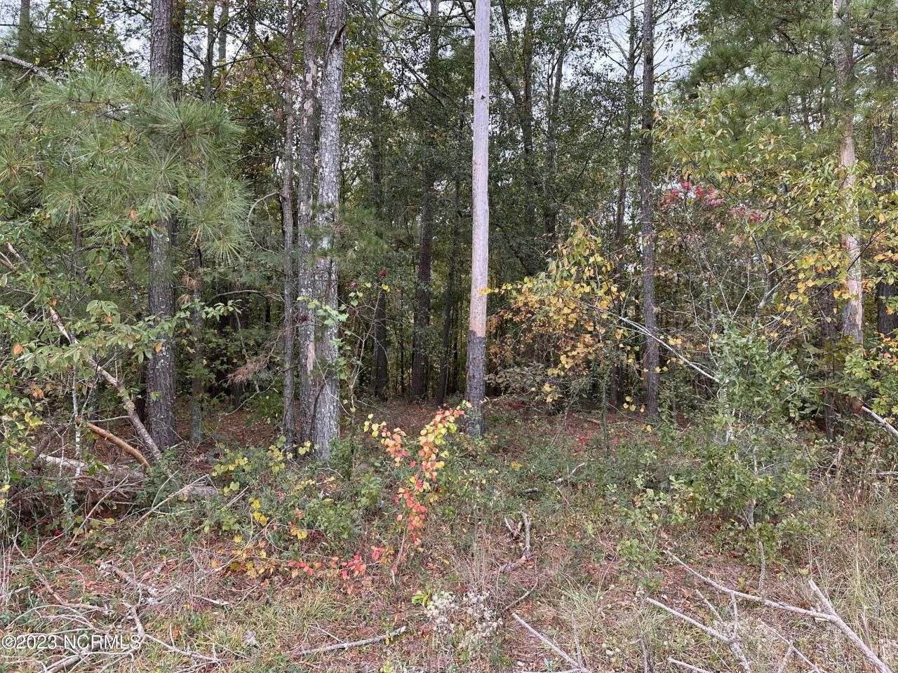 Tract 1 Matilda Drive, Lumberton, NC 28360 Main Photo