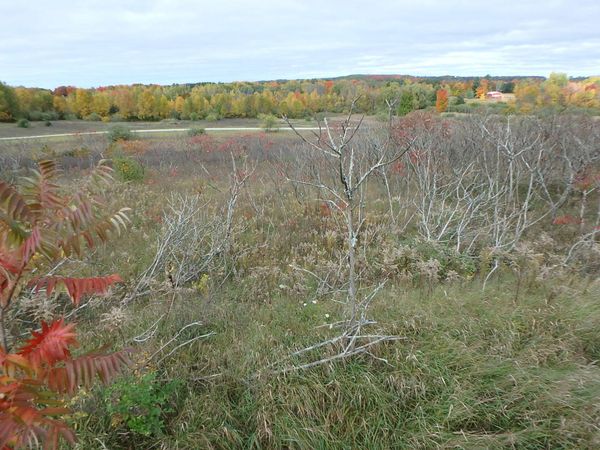 18155 Summerset Court, Shelby, MI 49455