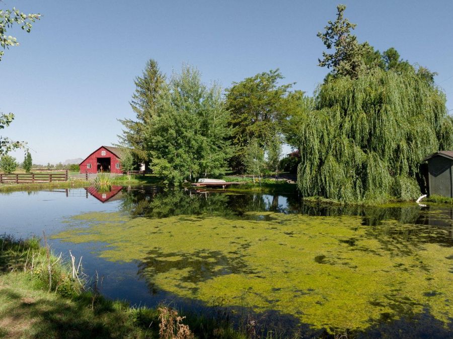 Property Image 50