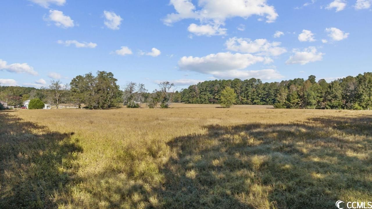 0000 Highway 701 South Photo 11