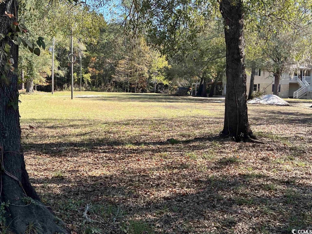 1956 Lees Landing Circle Photo 4