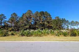 3028 New Castle Loop photo 4