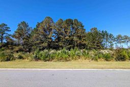 3028 New Castle Loop photo 4