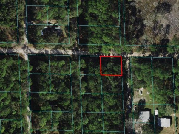 00 NE 137TH PLACE, CITRA, FL 32113