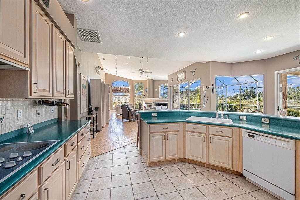 331 Lewis Road, Lithia, FL 33547 Photo