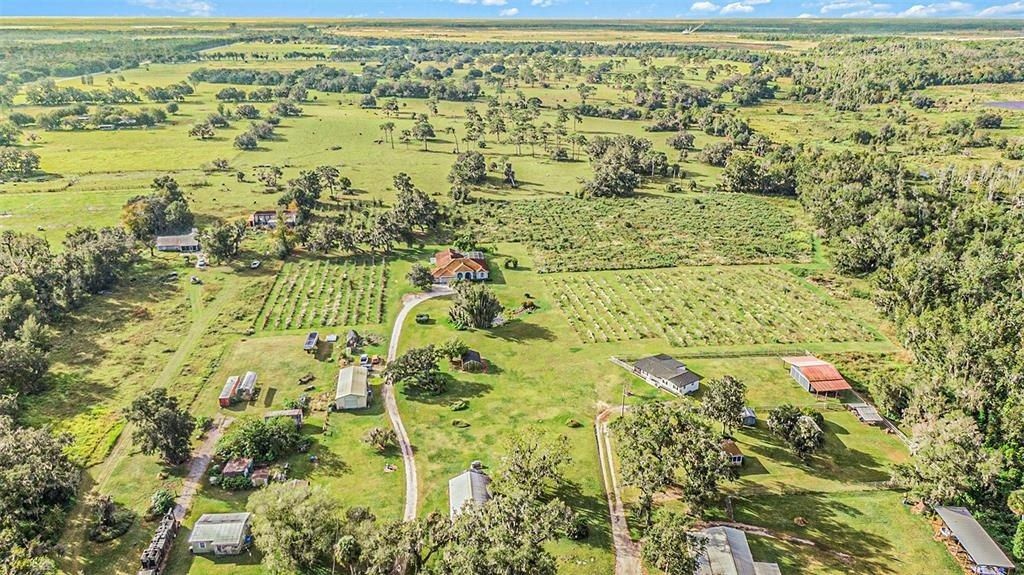 331 Lewis Road, Lithia, FL 33547 Photo