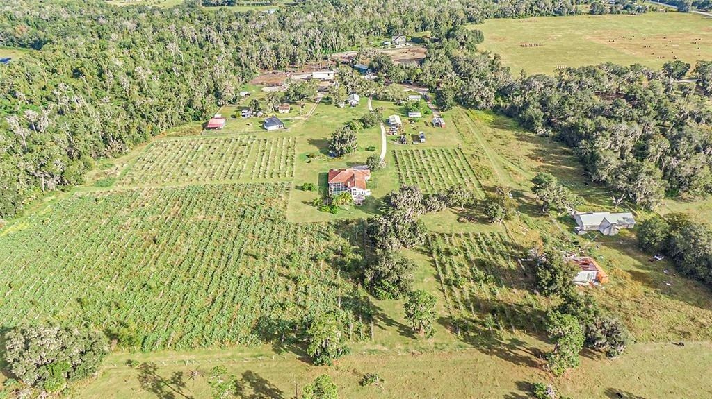 331 Lewis Road, Lithia, FL 33547 Photo