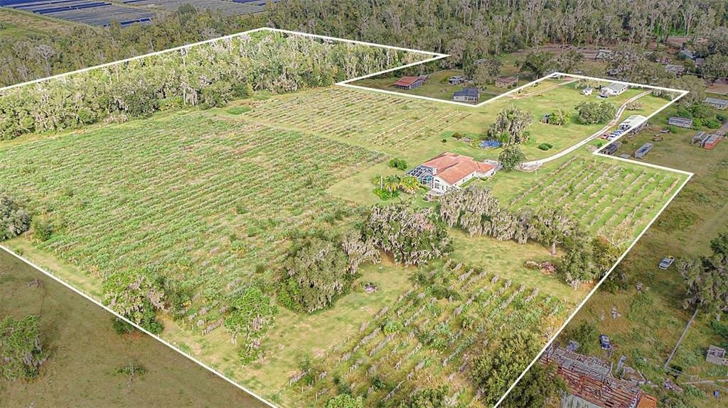 331 Lewis Road, Lithia, FL 33547 Photo