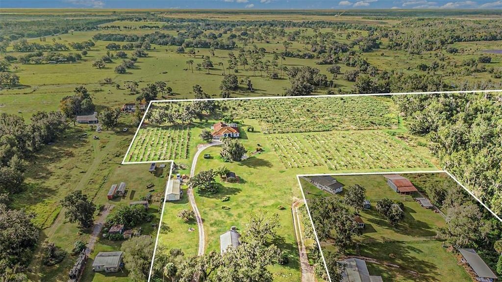 331 Lewis Road, Lithia, FL 33547 Photo