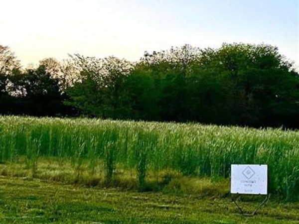 4008 Concord Lane, Wapello, IA 52653