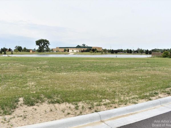 16484 Tecumseh, Dundee, MI 48131