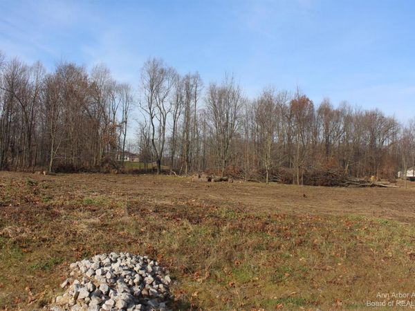 0 Lindsey Unit 21 Drive, Jackson, MI 49201