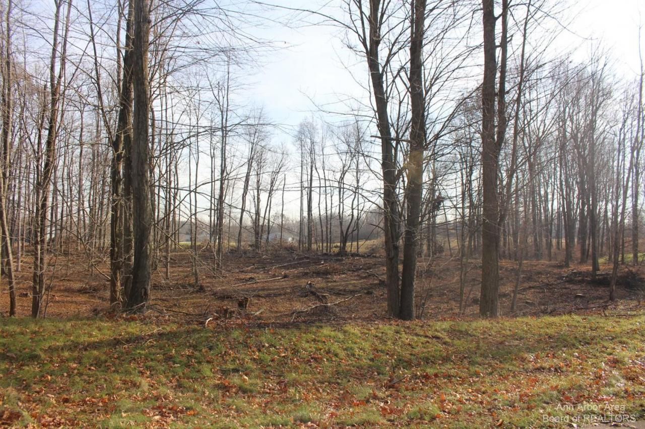 0 Lindsey Unit 14 Road, Jackson, MI 49201 Main Photo