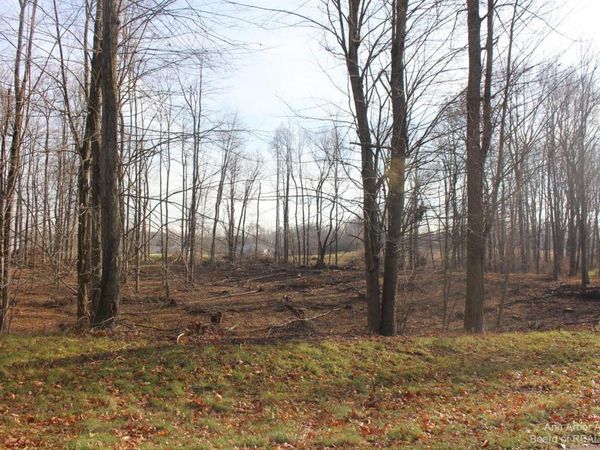 0 Lindsey Unit 14 Road, Jackson, MI 49201