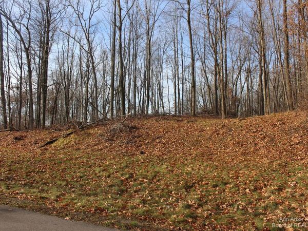 0 Lindsey Unit 13 Road, Jackson, MI 49201