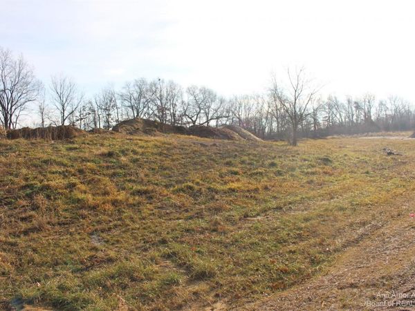 0 Lindsey Unit 22 Drive, Jackson, MI 49201