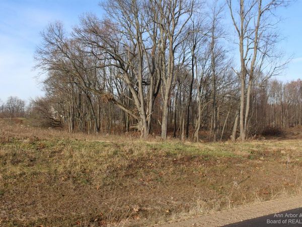 0 Lindsey Unit 27 Road, Jackson, MI 49201