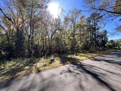 00 Shoofly Road Road, Ridgeville, SC 29472