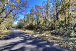 00 Shoofly Road Road photo 4