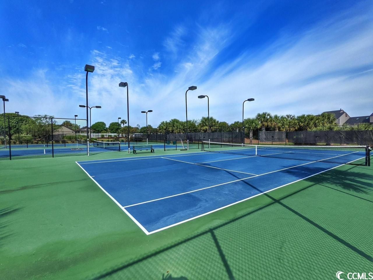 230 Sea Oats Circle Photo 38