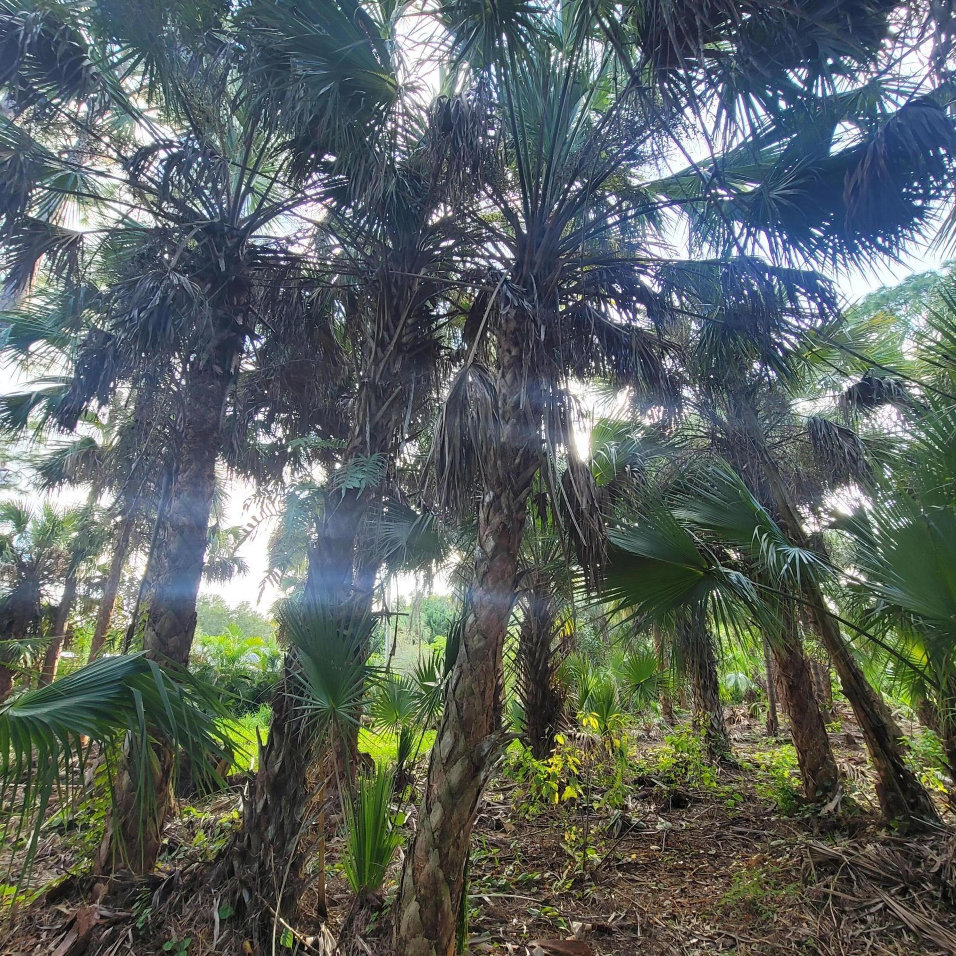 8501 N Pennylane, Fort Pierce, FL 34951 Photo