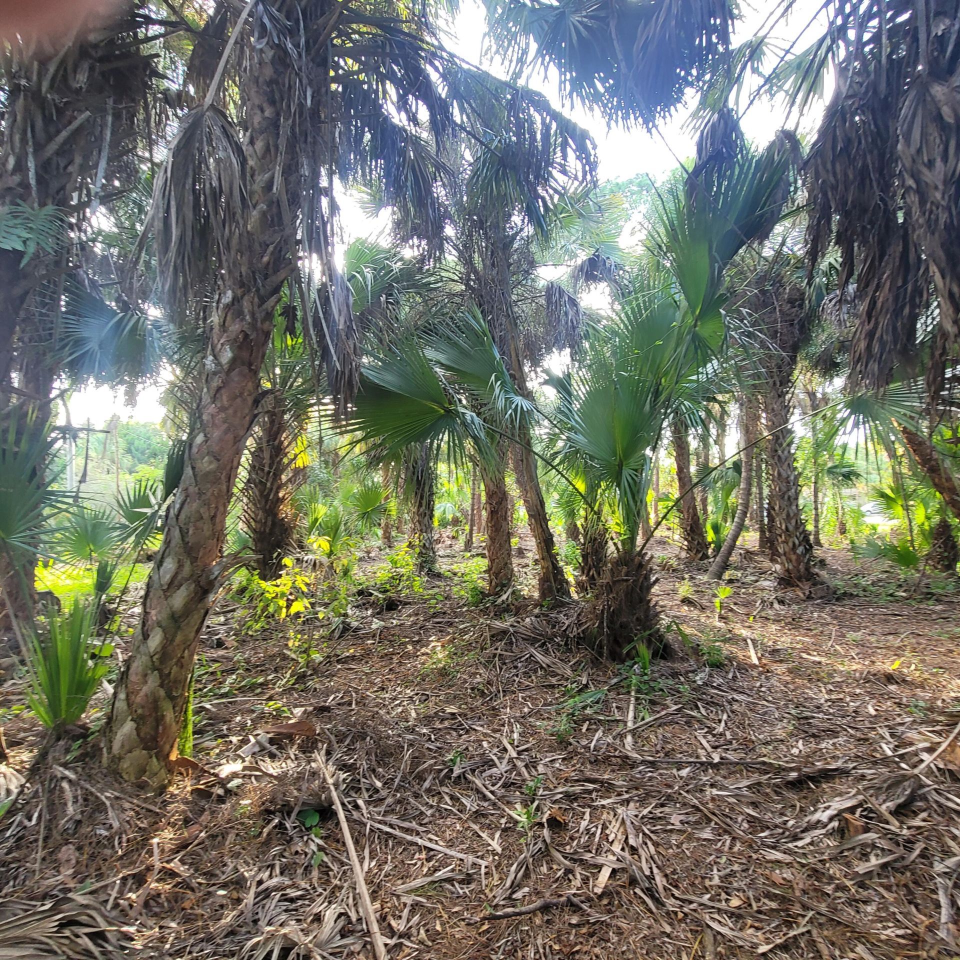 8501 N Pennylane, Fort Pierce, FL 34951 Photo