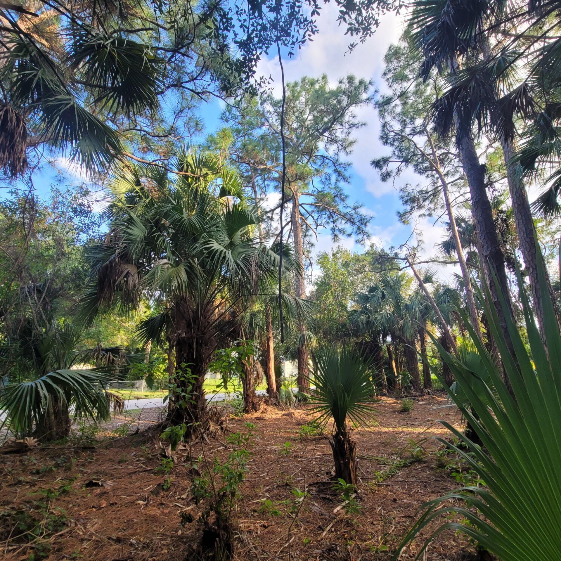 8501 N Pennylane, Fort Pierce, FL 34951 Photo