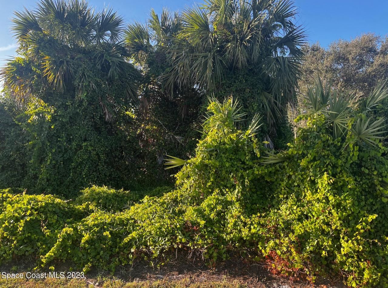 144 Main Street, Sebastian, FL 32958 Photo