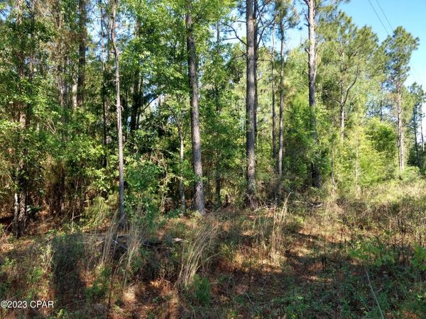 TBD Little John Lane, Bonifay, FL 32425