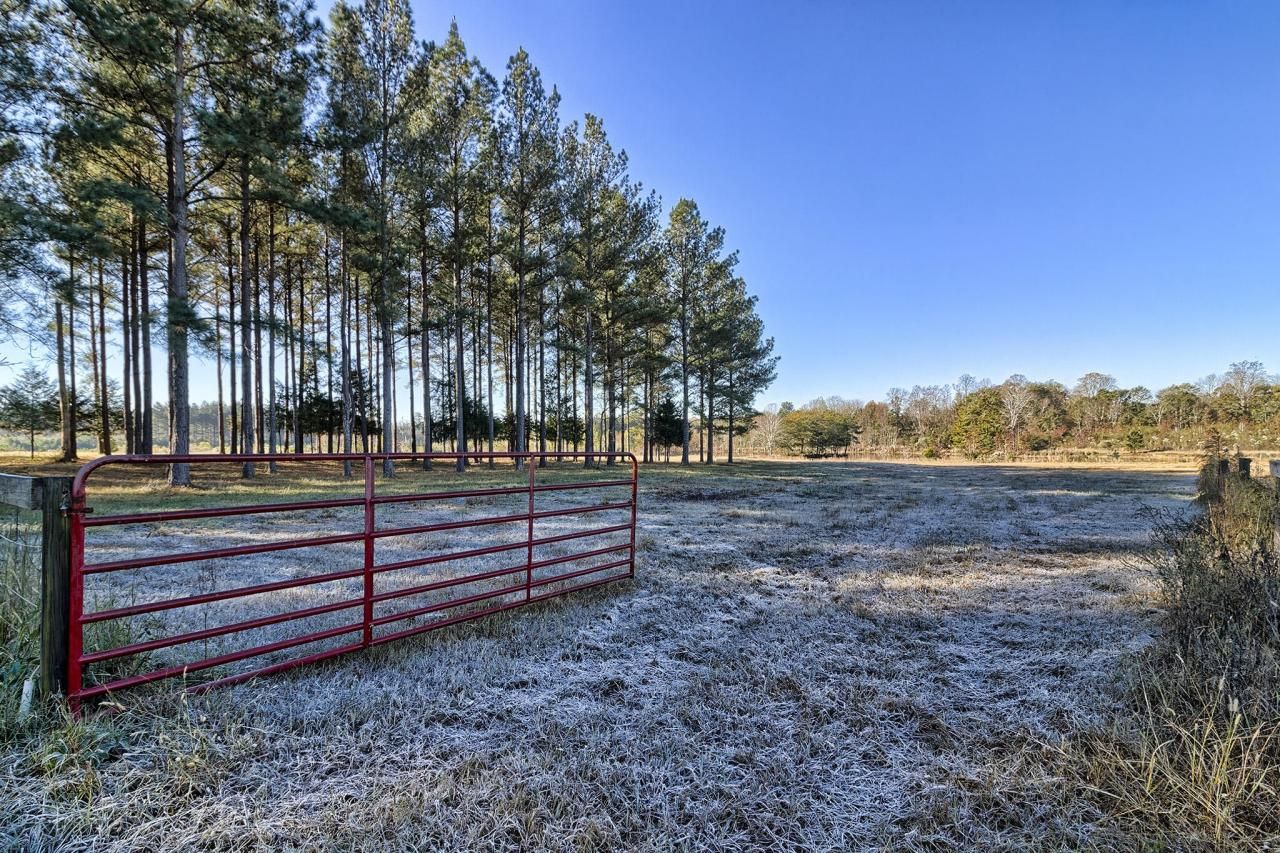 226 Cottage Walk Lane Photo 41