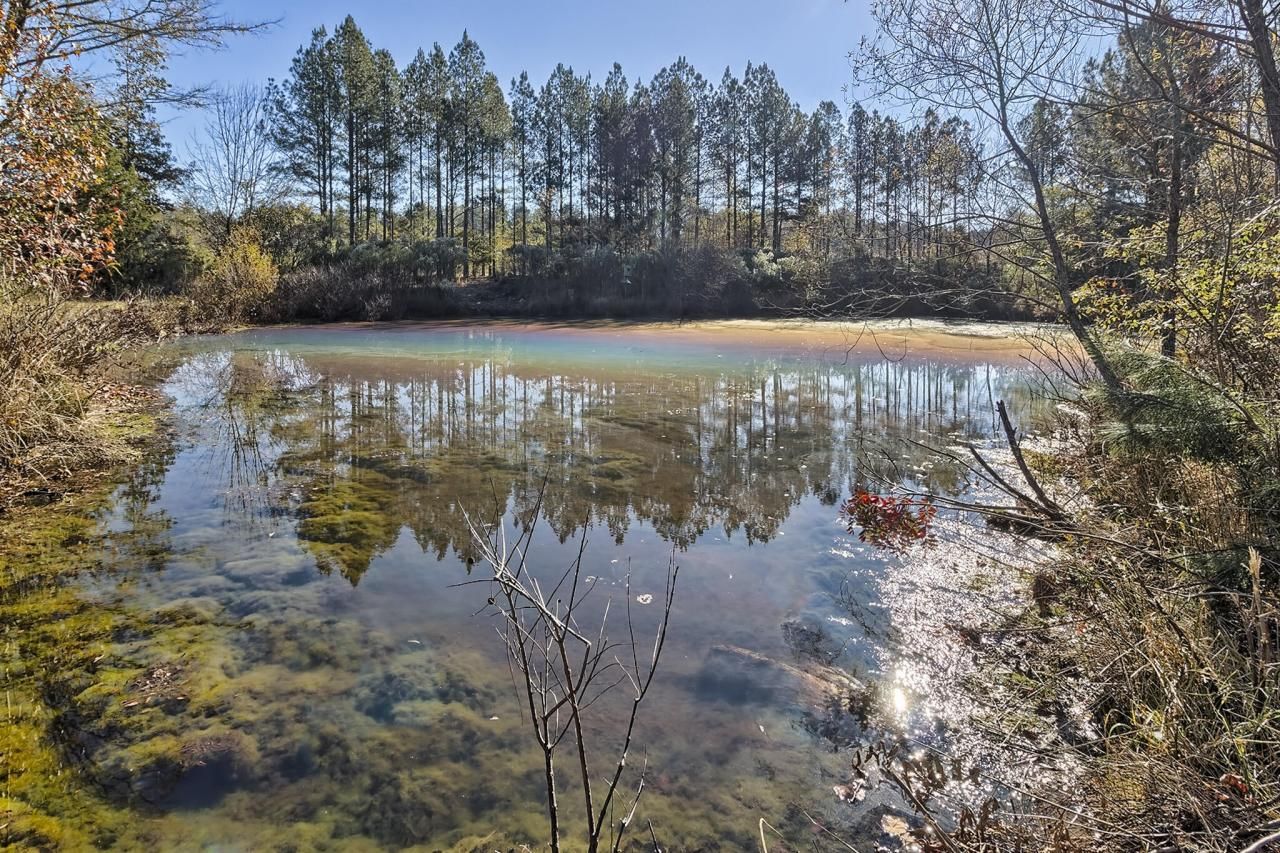 226 Cottage Walk Lane Photo 42