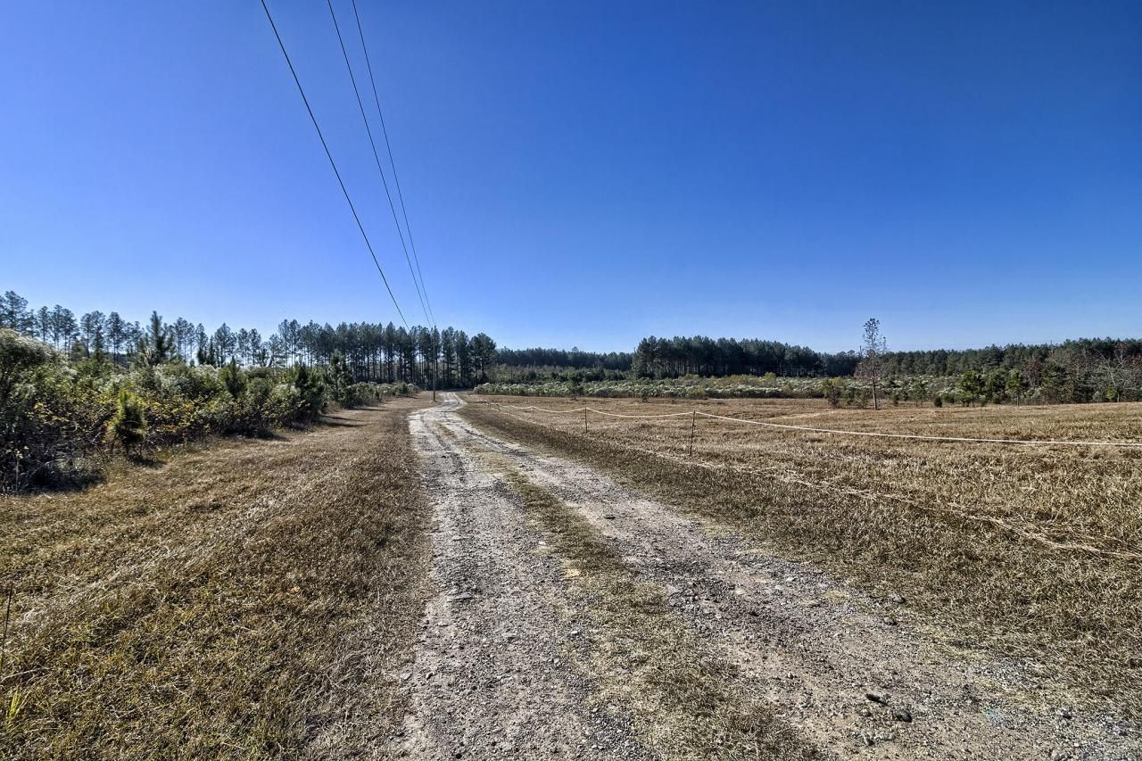 226 Cottage Walk Lane Photo 44