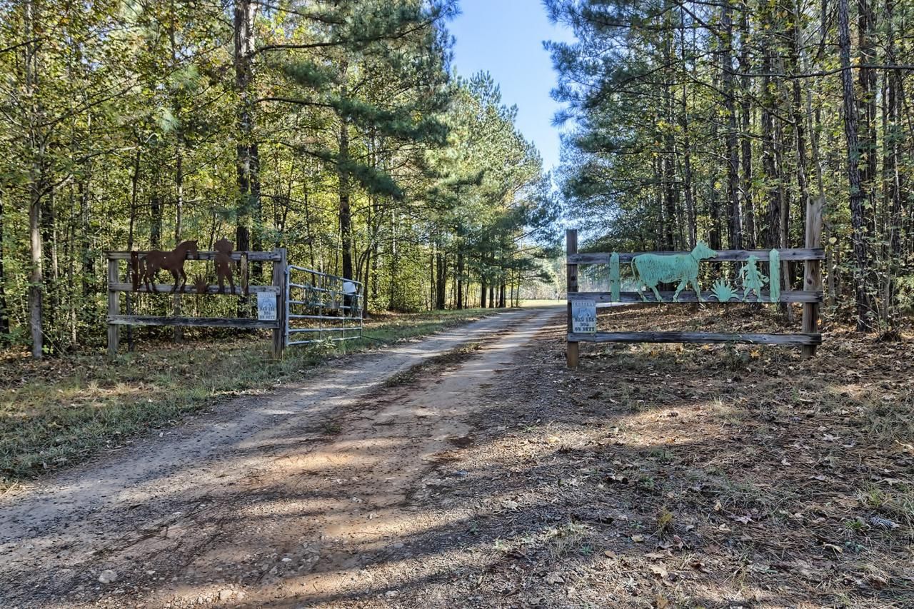 226 Cottage Walk Lane Photo 45