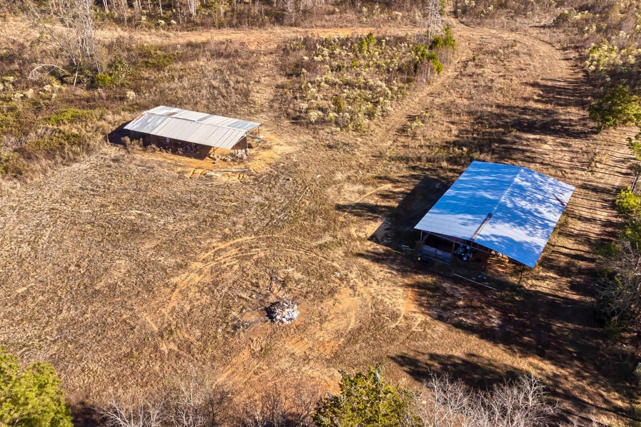 226 Cottage Walk Lane Photo 50