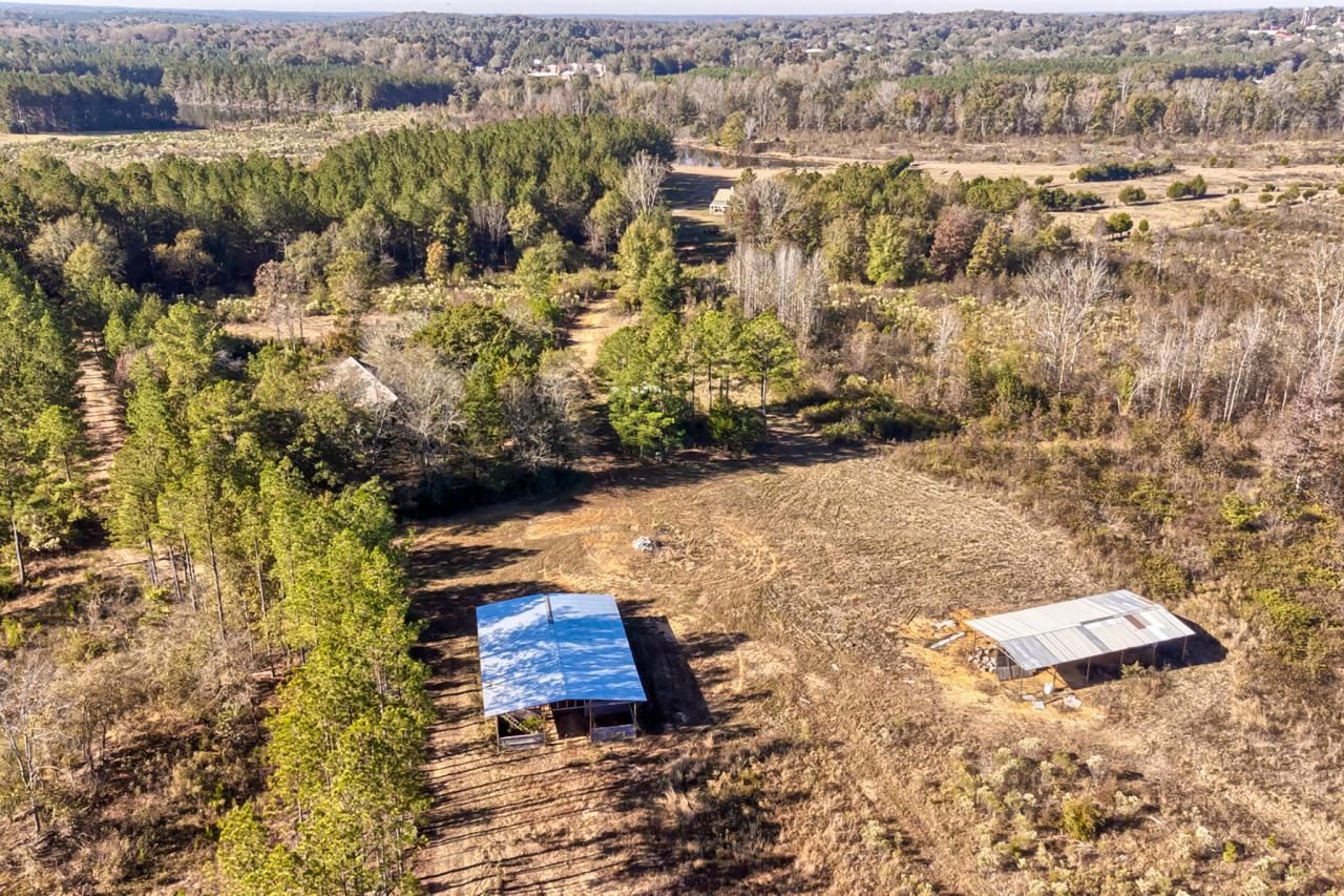 226 Cottage Walk Lane Photo 51