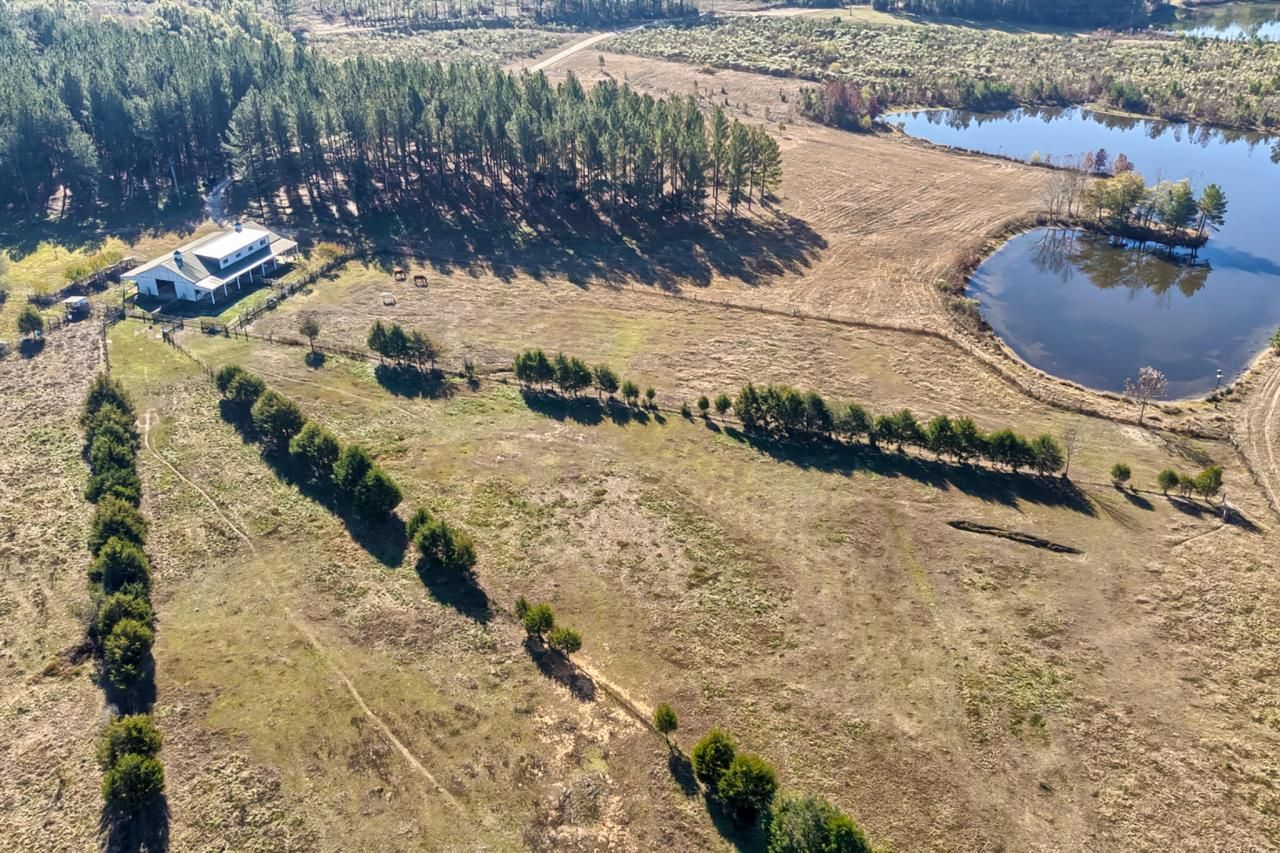 226 Cottage Walk Lane Photo 53