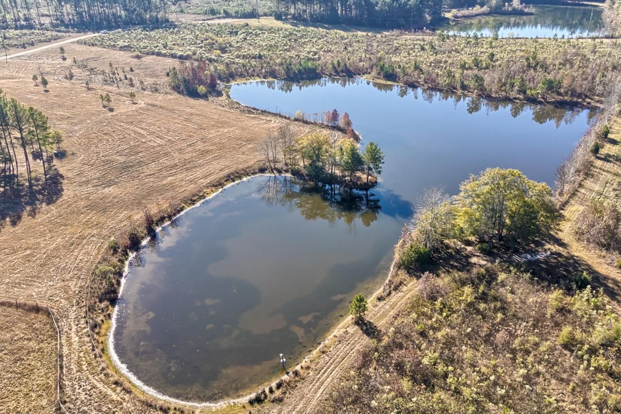 226 Cottage Walk Lane Photo 54