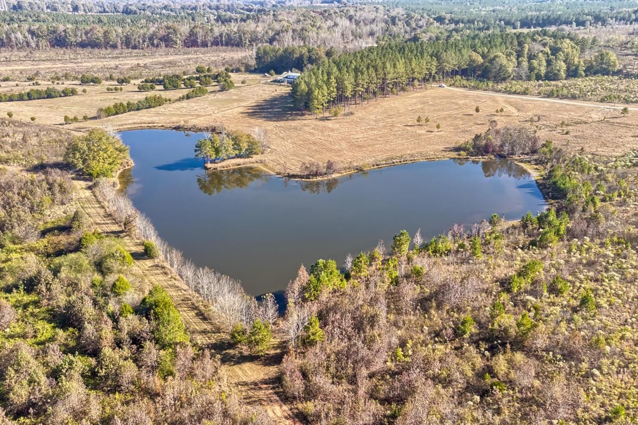 226 Cottage Walk Lane Photo 55