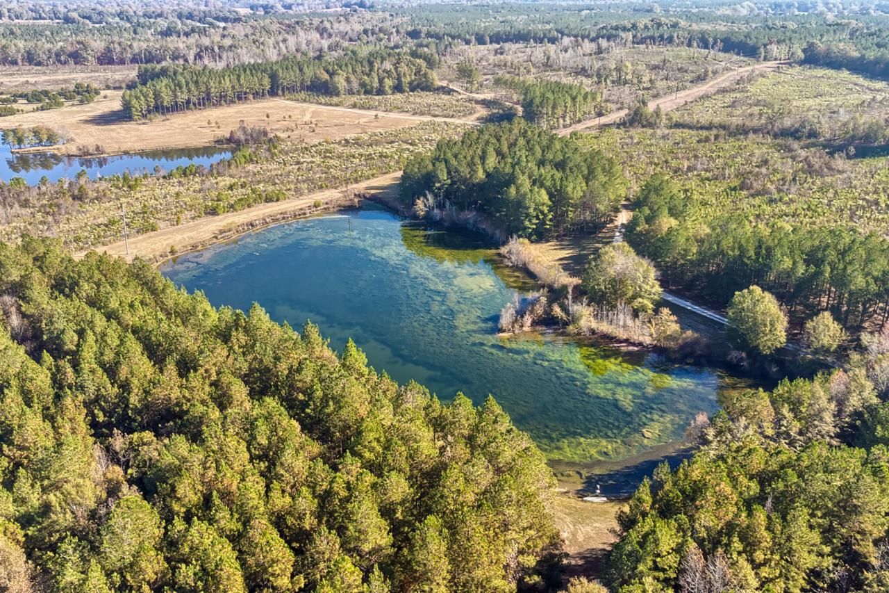 226 Cottage Walk Lane Photo 56