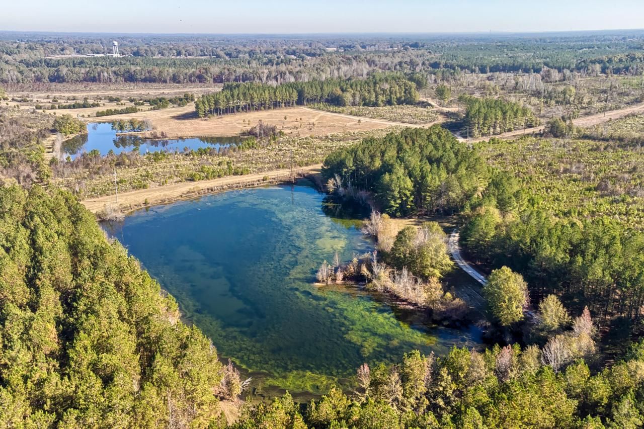 226 Cottage Walk Lane Photo 57