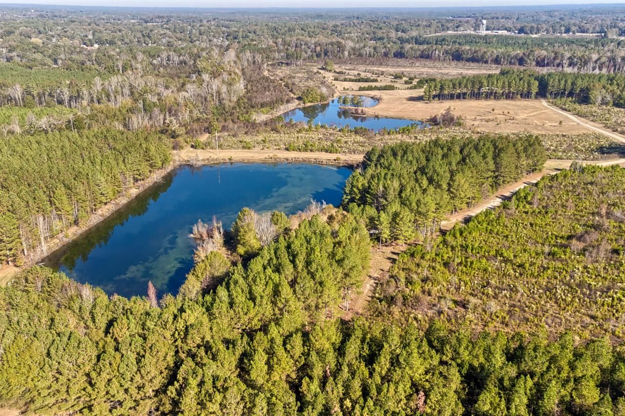 226 Cottage Walk Lane Photo 59