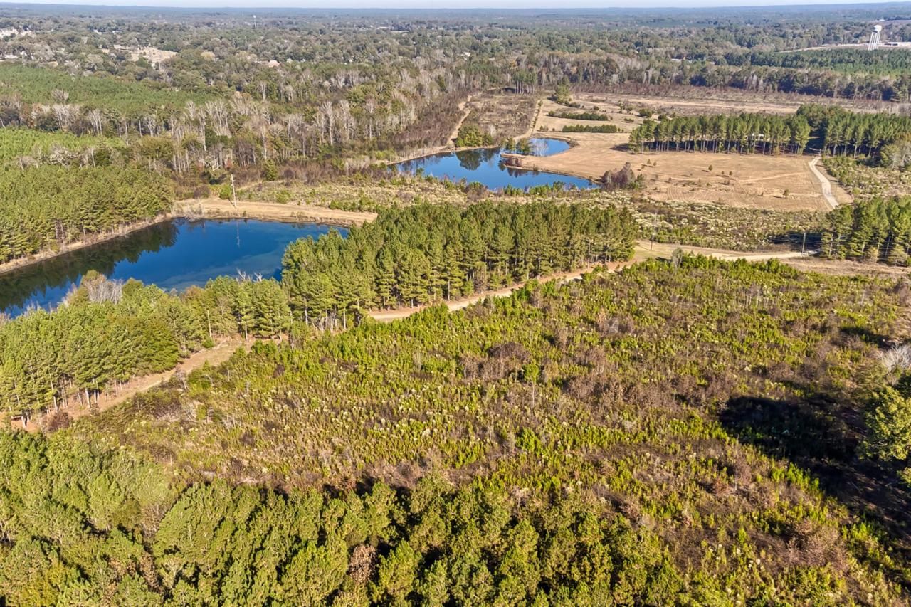 226 Cottage Walk Lane Photo 60