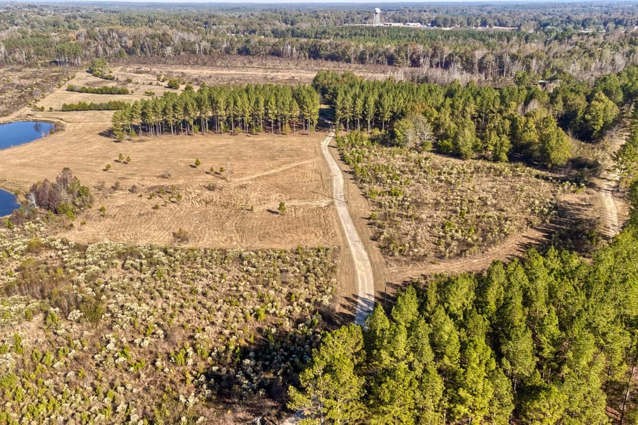 226 Cottage Walk Lane Photo 61