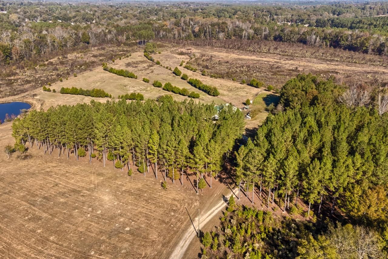 226 Cottage Walk Lane Photo 62