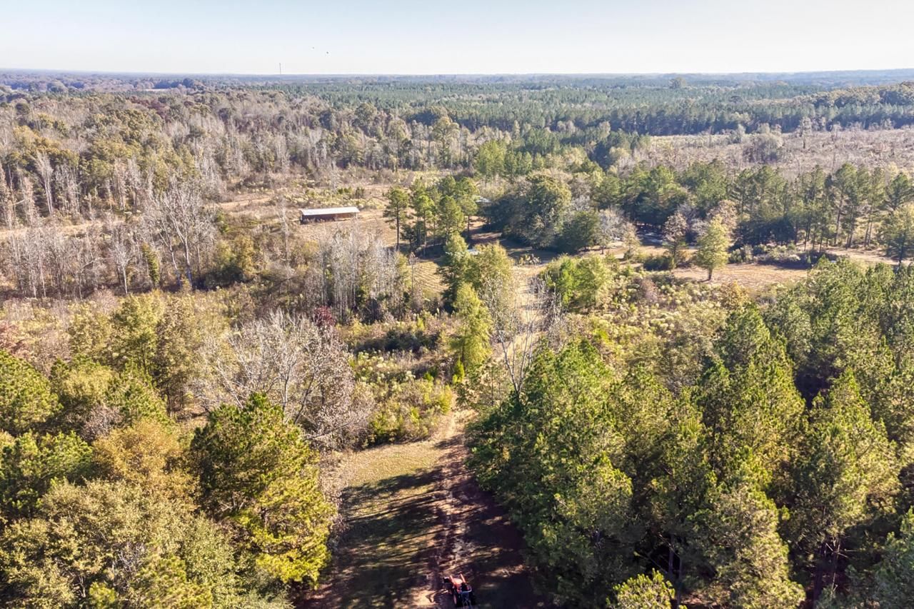 226 Cottage Walk Lane Photo 64