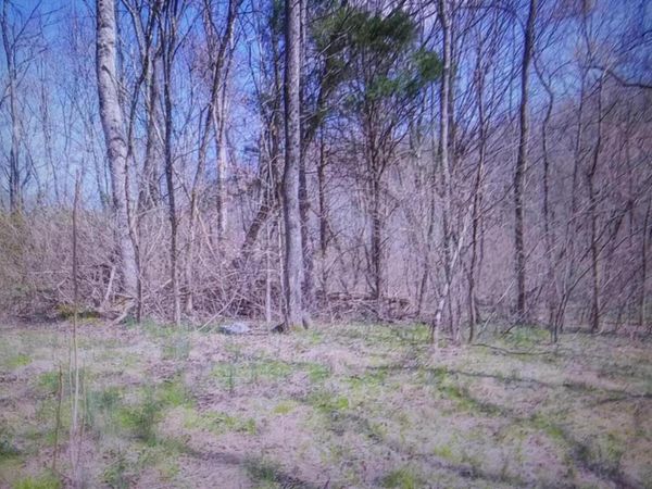 287 Edith Lane, Washburn, TN 37888