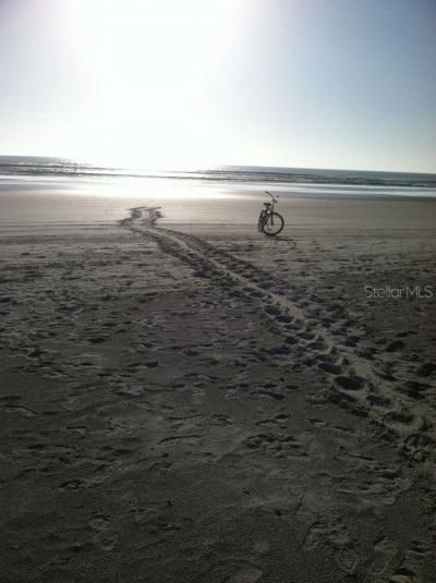 411 S Pine Street, New Smyrna Beach, FL 32169 Photo