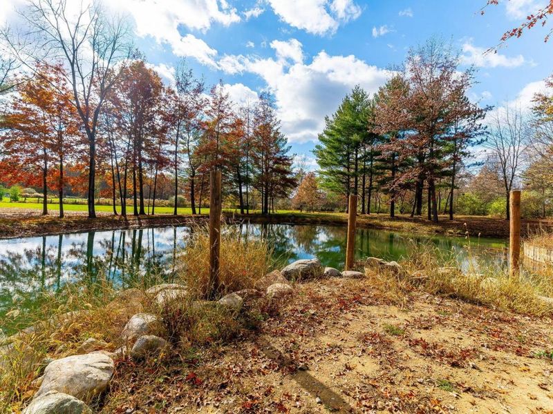 10937 Johnstown Road, New Albany, OH 43054 Photo 56